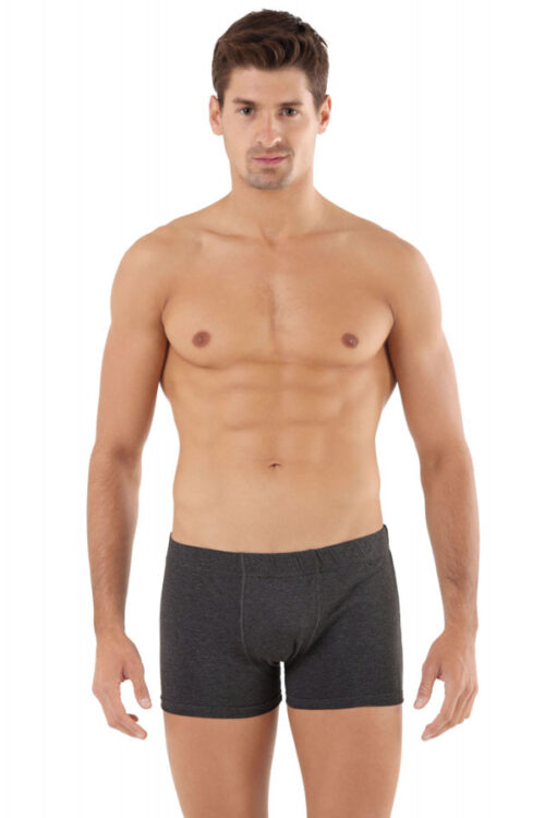 Filipe - férfi boxer alsó - szürke