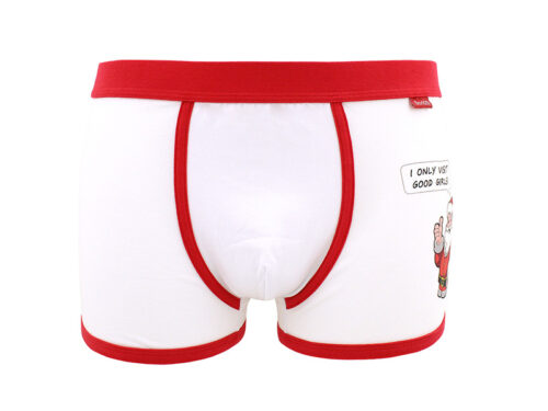 ROBERTO NG-20 boxer 03