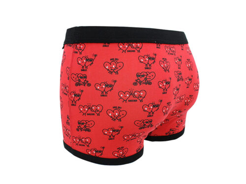 ROBERTO NG-20 boxer 02